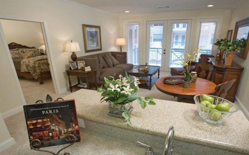 The Village of Tanglewood